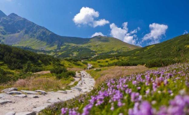 House Hanka, High Tatras Stará Lesná 外观 照片